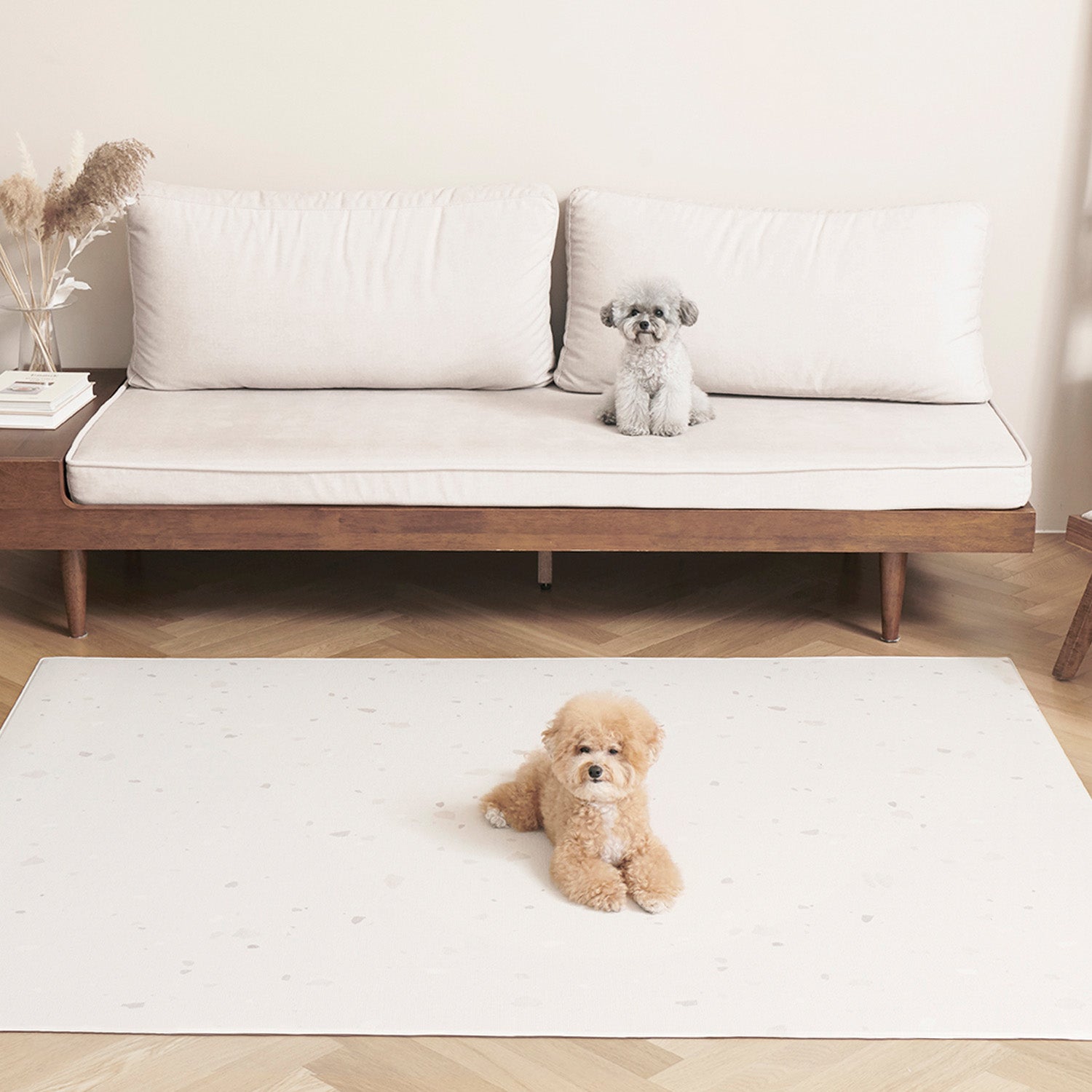 2枚組 140×180 防水 抗菌 ペットマット Dogzari Flat | ecofoam