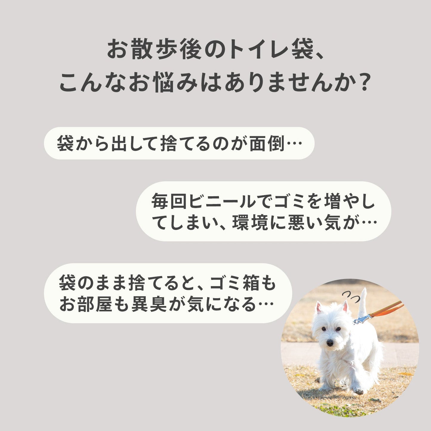 \2箱以上で専用キャリアプレゼント中/ トイレに流せる 犬のウンチ袋 POOPOOBAG