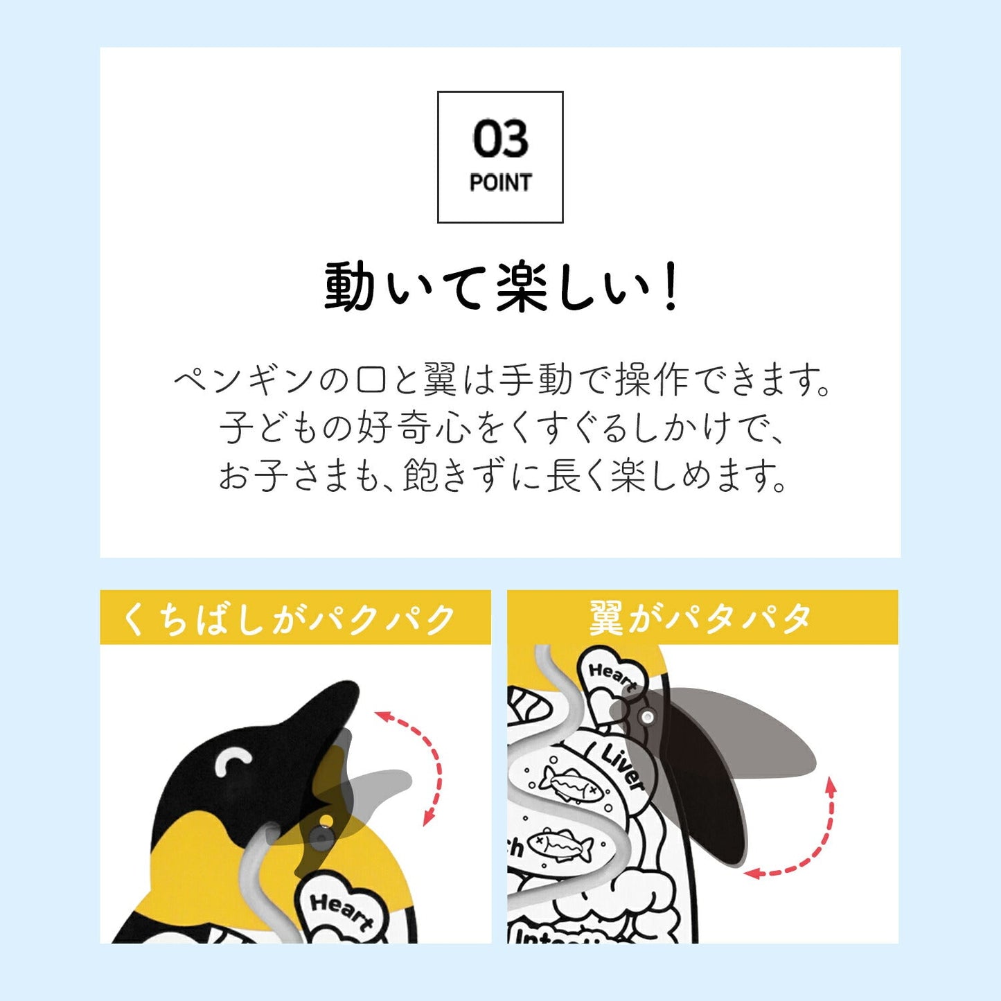 ぺんぎん貯金箱 Penguin coin box | BOXPARTNER(ボックスパートナー)