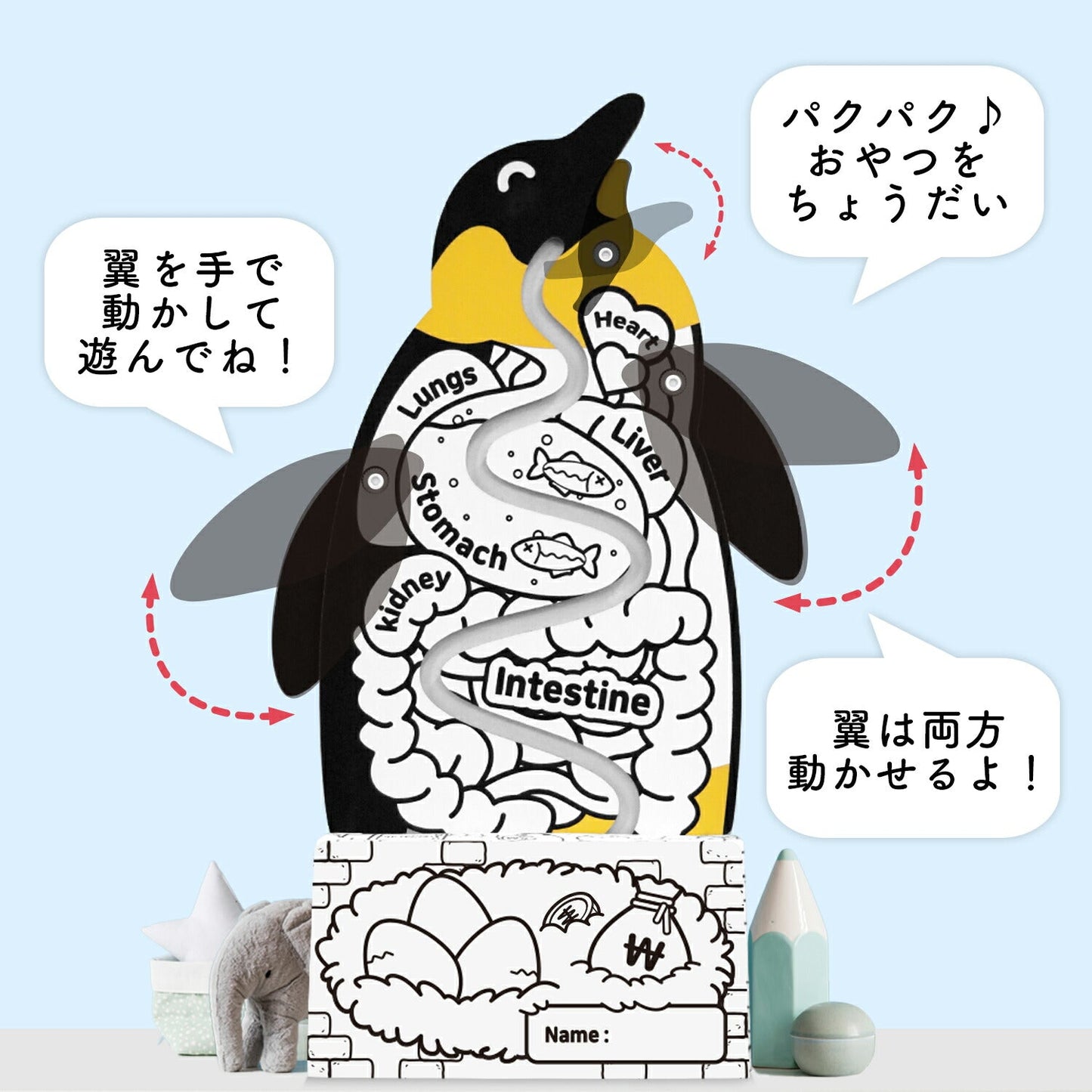 ぺんぎん貯金箱 Penguin coin box | BOXPARTNER(ボックスパートナー)