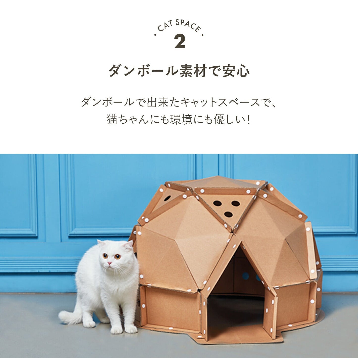 キャットスペース CAT SPACE | BOXPARTNER(ボックスパートナー)