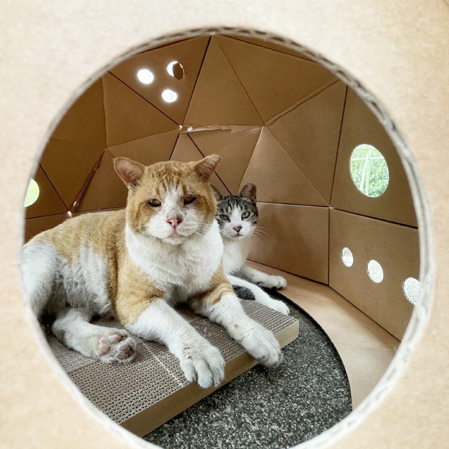 キャットスペース CAT SPACE | BOXPARTNER(ボックスパートナー)