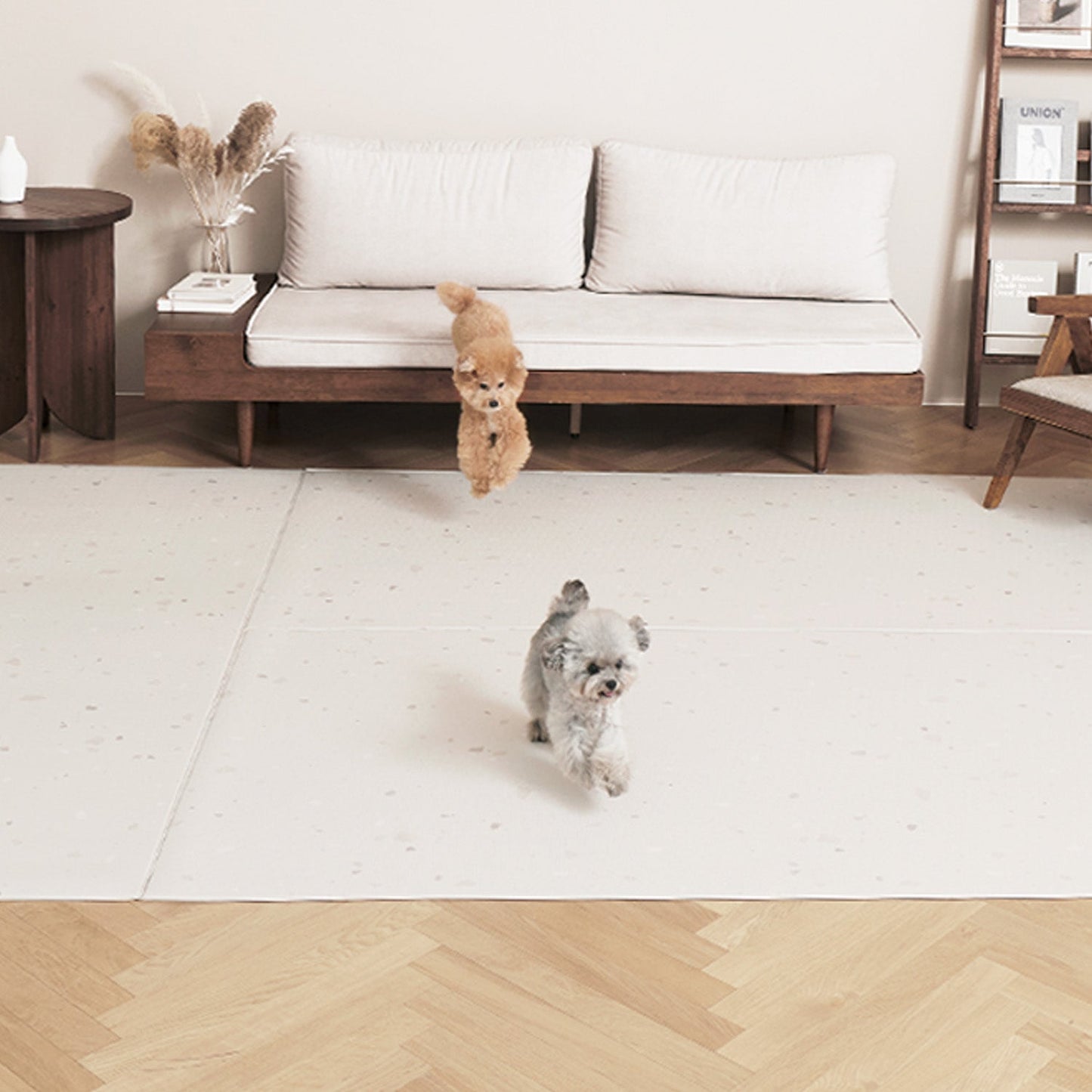 110×220 防水 抗菌 ペットマット Dogzari Flat | ecofoam(エコフォーム)
