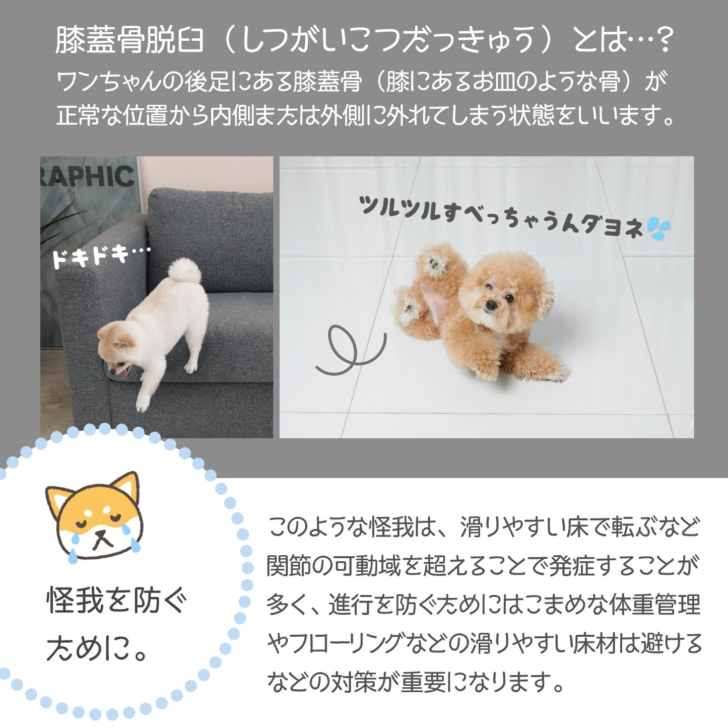 110×220 防水 抗菌 ペットマット Dogzari Flat | ecofoam(エコフォーム)