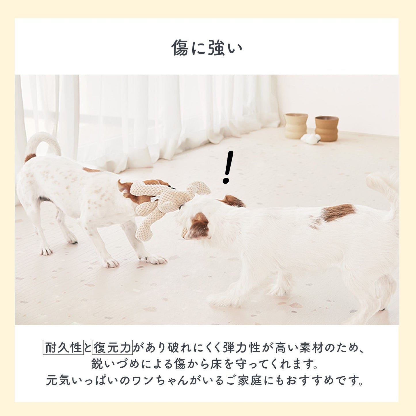 110×220 防水 抗菌 ペットマット カットできるロールマットタイプ Dogzari Rollmat | ecofoam(エコフォーム)