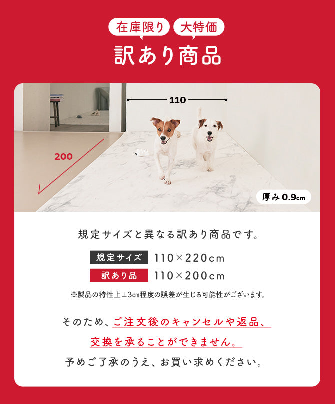 【訳あり商品:サイズ】110×200 防水 抗菌 ペットマット カットできるロールマットタイプ Dogzari Rollmat | ecofoam(エコフォーム)