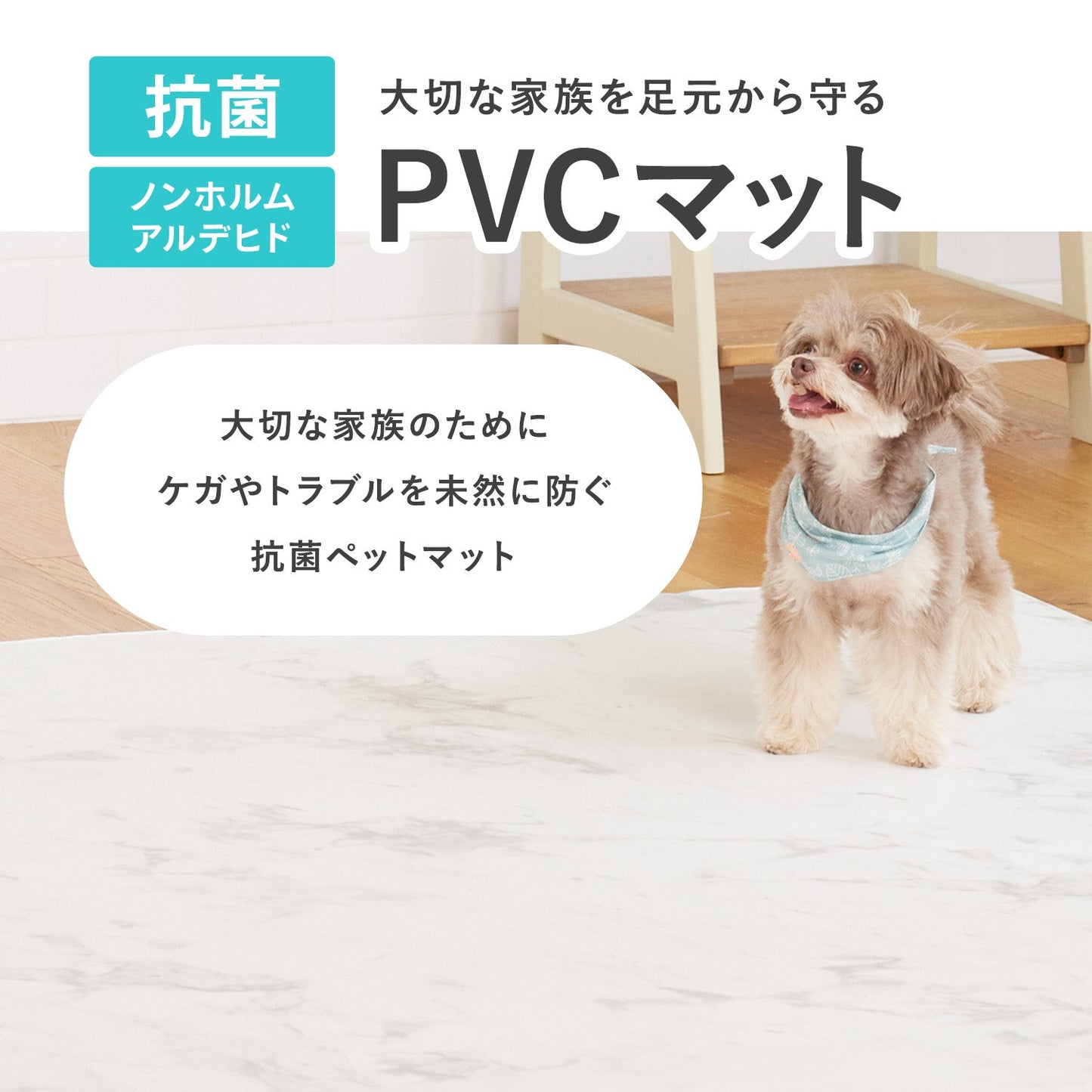 PVCマット ペット用フロアマット 220×110cm 180x140cm 65×180cm | DoriDori(ドリドリ)