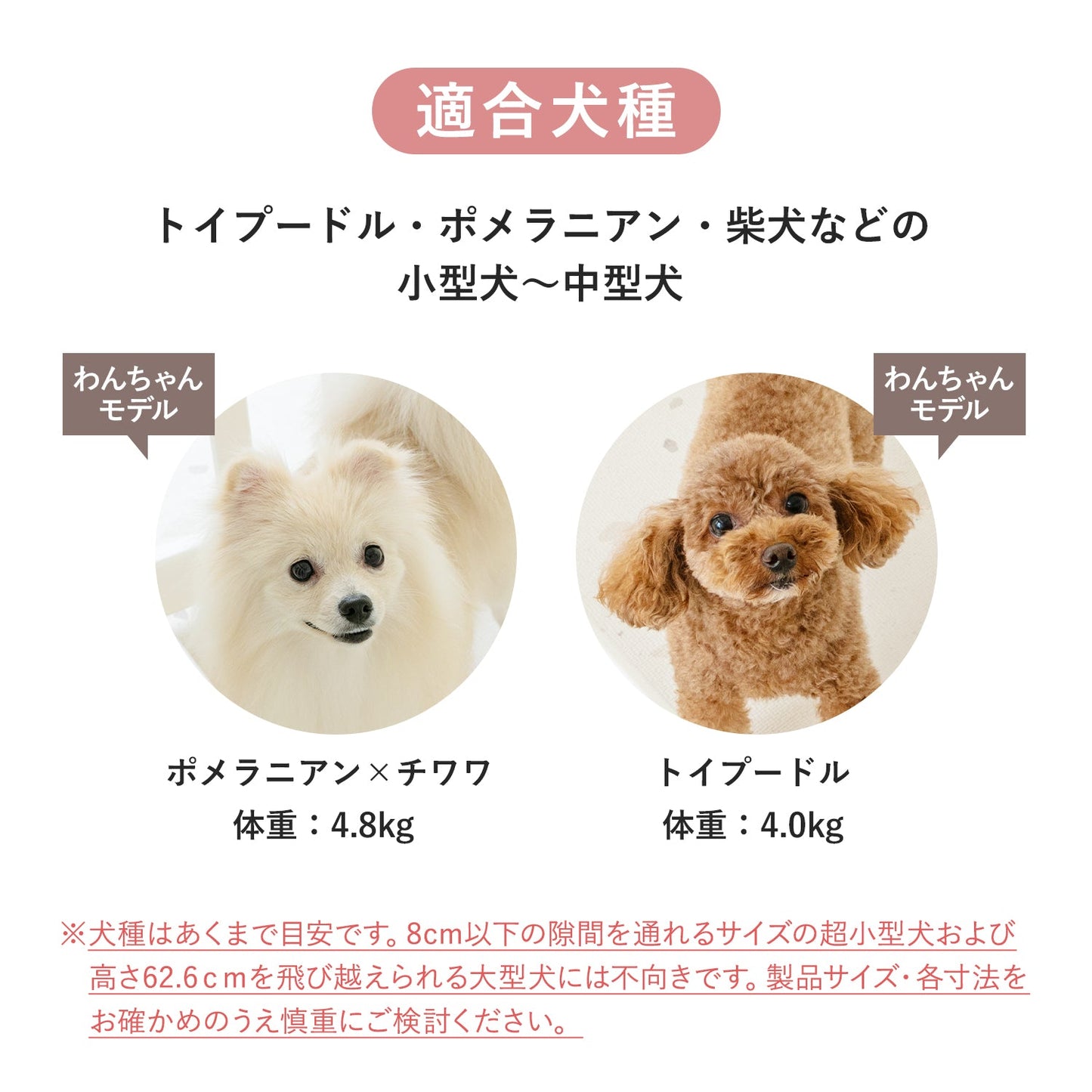 ペットサークル バーチ ドア付き 10枚セット | iFam(アイファム)
