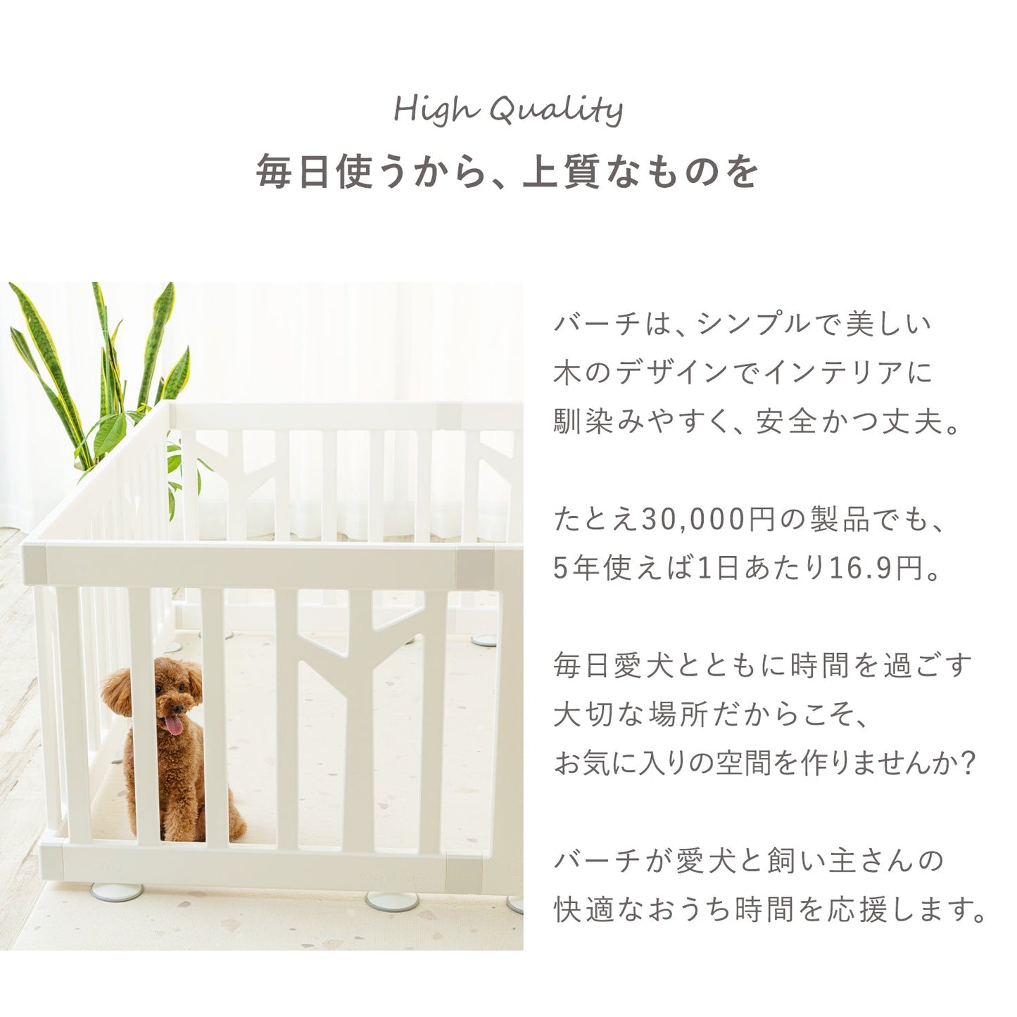 ペットサークル バーチ ドア付き 8枚セット | iFam(アイファム)