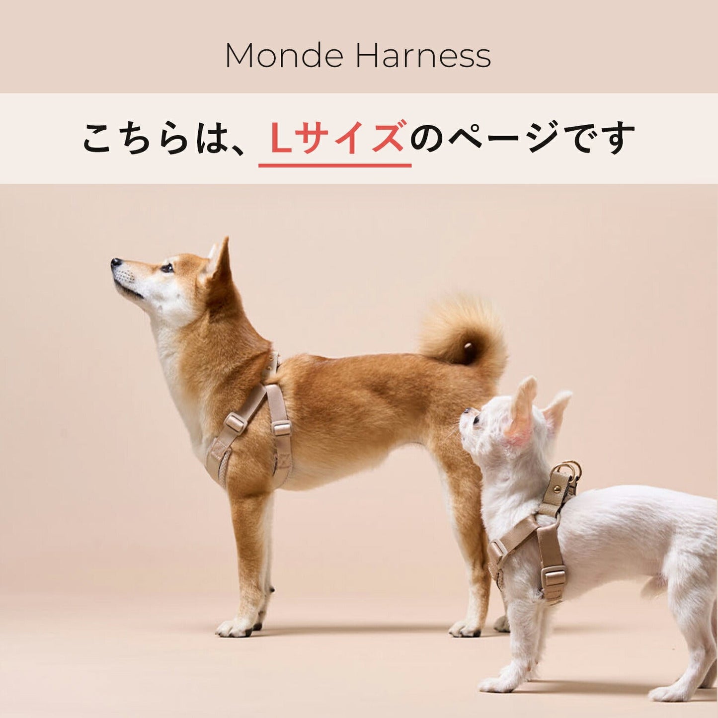 ハーネスLサイズ MONDE ハーネスL | MILLIONG(ミリオン)