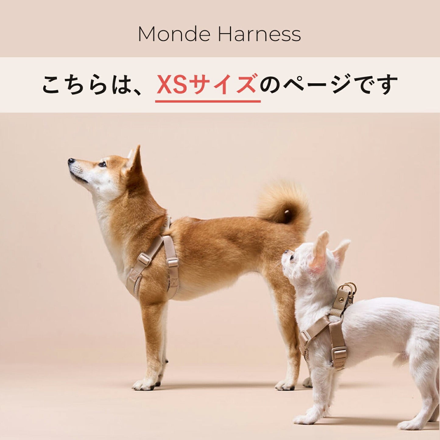 ハーネスXSサイズ MONDE ハーネスXS | MILLIONG(ミリオン)