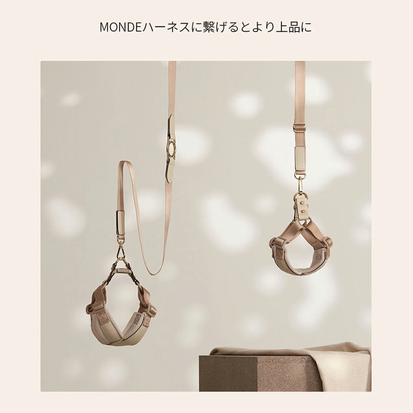 ショートリード MONDEショートリード | MILLIONG(ミリオン)