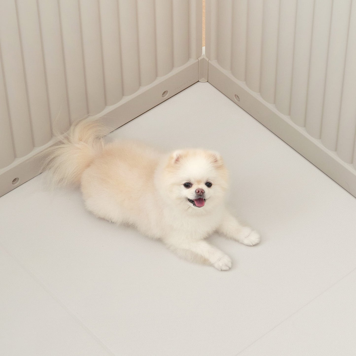 拡張できるペットルーム 専用マット【シングル 65×65×0.4cm】 EXPANDABLE PETROOM MAT | Takemehom(テイクミーホーム)