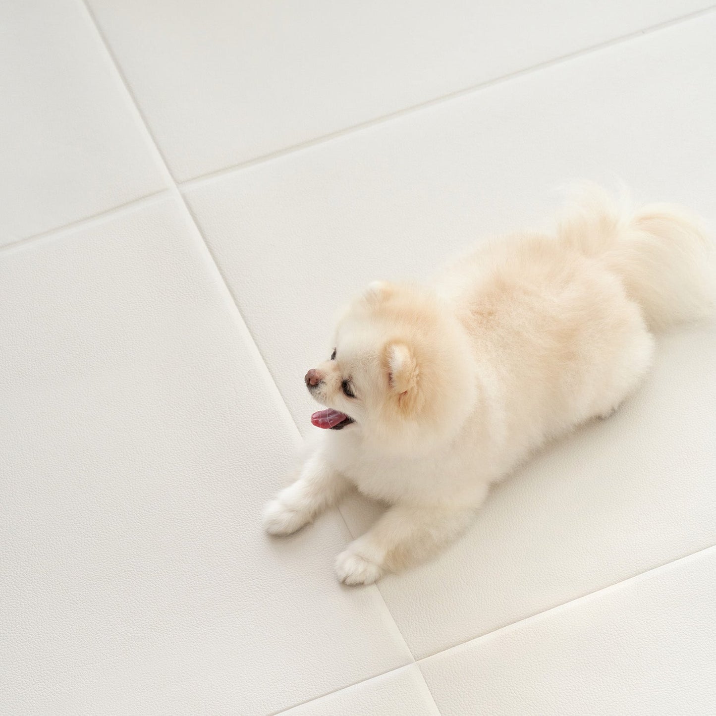 拡張できるペットルーム 専用マット【ロング 195×130×0.4cm】 EXPANDABLE PETROOM MAT | Takemehom(テイクミーホーム)