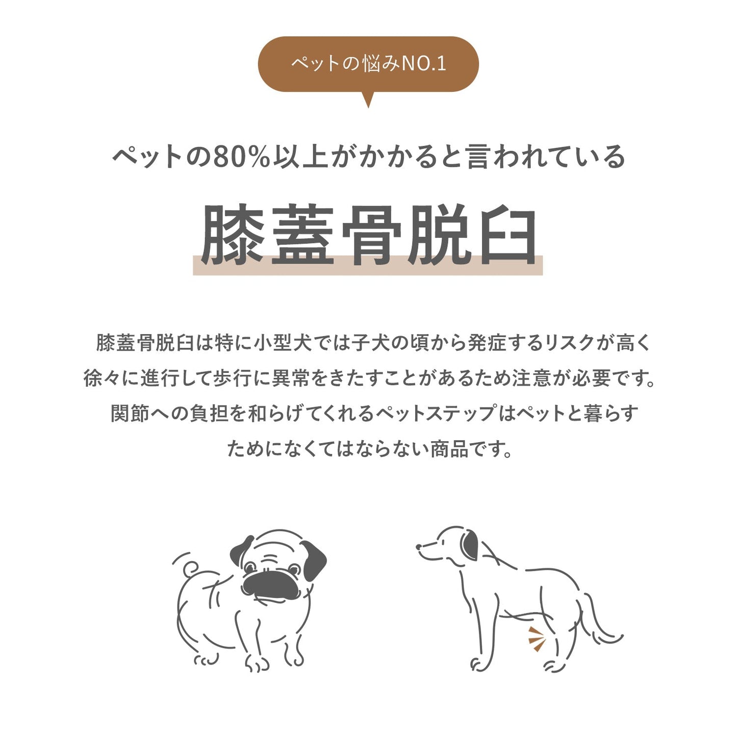 セーフガードペットステップ専用マット SAFEGUARD PETSTEP | Takemehom(テイクミーホーム)