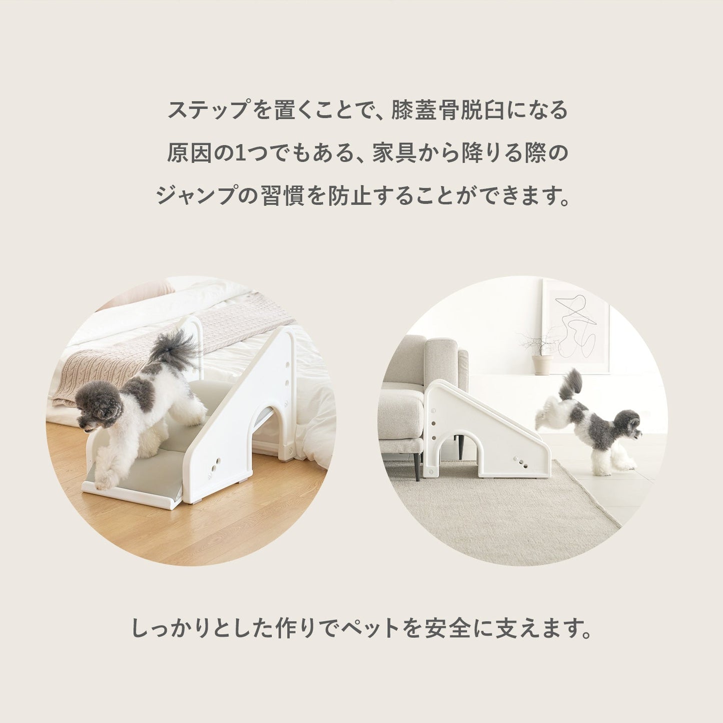セーフガードペットステップ SAFEGUARD PETSTEP | Takemehom(テイクミーホーム)