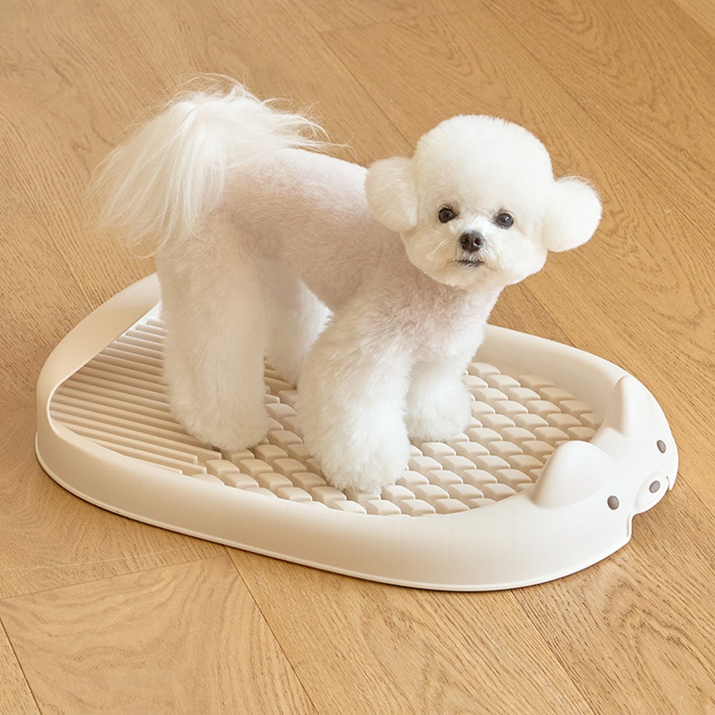 ペット用トイレトレー DANG DANG DOG POTTY TRAY | Takemehom(テイクミーホーム)
