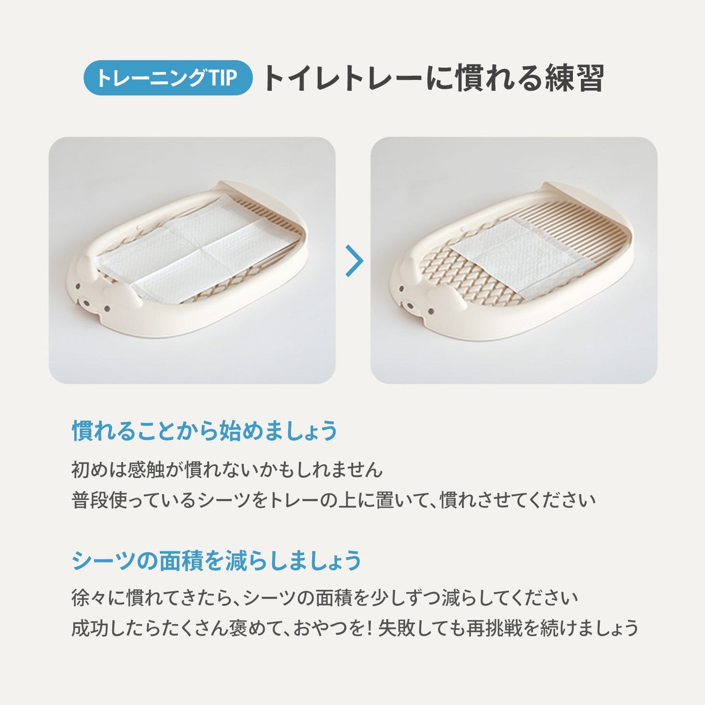 ペット用トイレトレー DANG DANG DOG POTTY TRAY | Takemehom(テイクミーホーム)