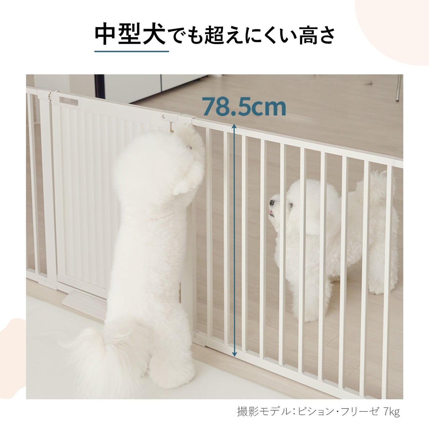 \レビュープレゼント中/ ブラインドゲート 拡張フェンスで拡張できる BLIND GATE | Takemehom(テイクミーホーム)