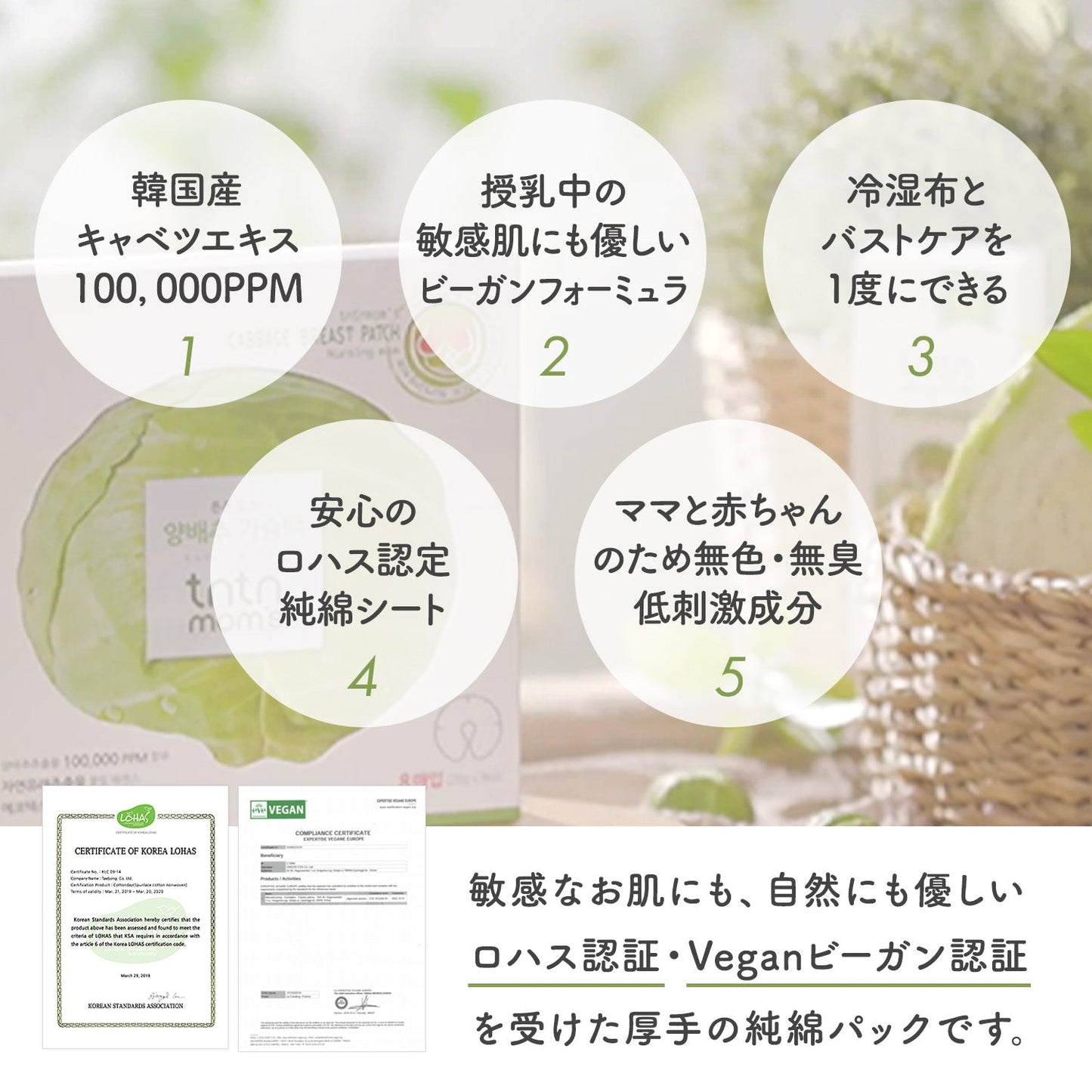 キャベツバストパック 個包装 8枚入り | tntnmom's(トゥントゥンマムズ)