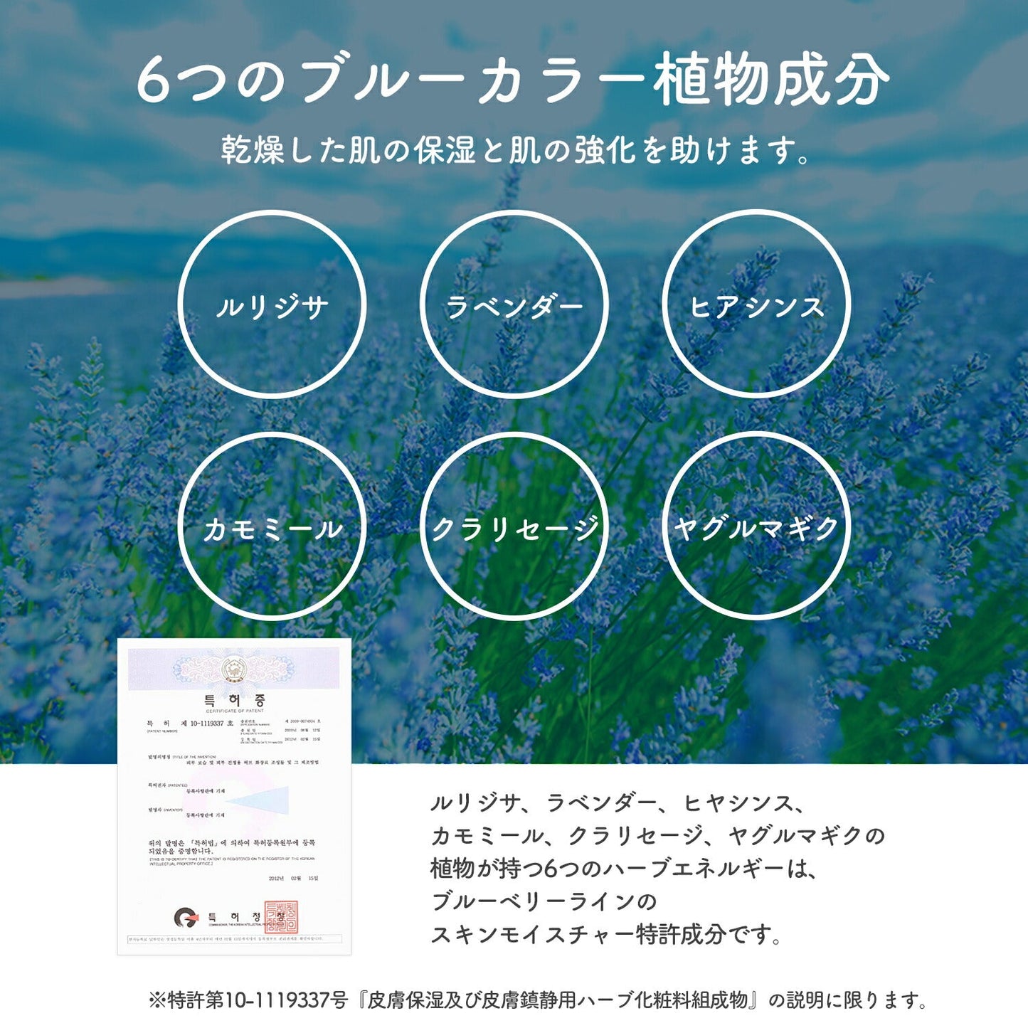 ブルーベリー妊娠線パック | tntnmom's(トゥントゥンマムズ)