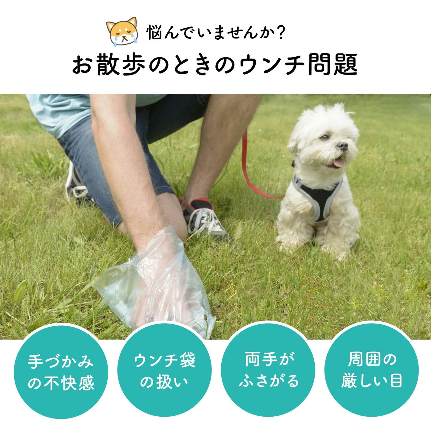 フンキャッチャー 運キャッチ
