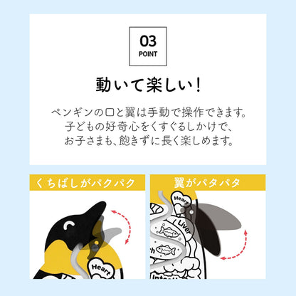 ぺんぎん貯金箱 Penguin coin box | BOXPARTNER（ボックスパートナー）