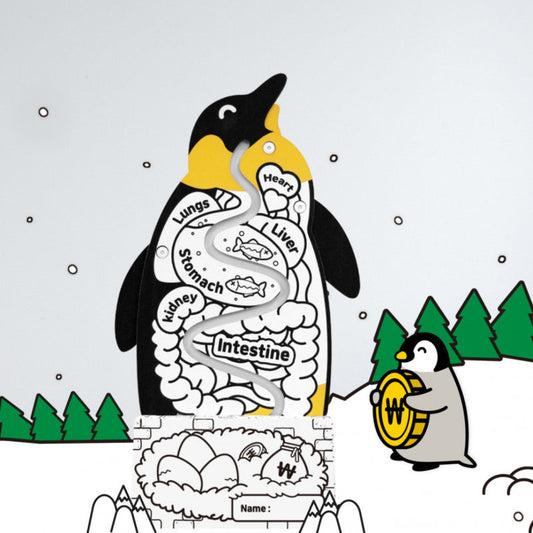 ぺんぎん貯金箱 Penguin coin box | BOXPARTNER（ボックスパートナー）
