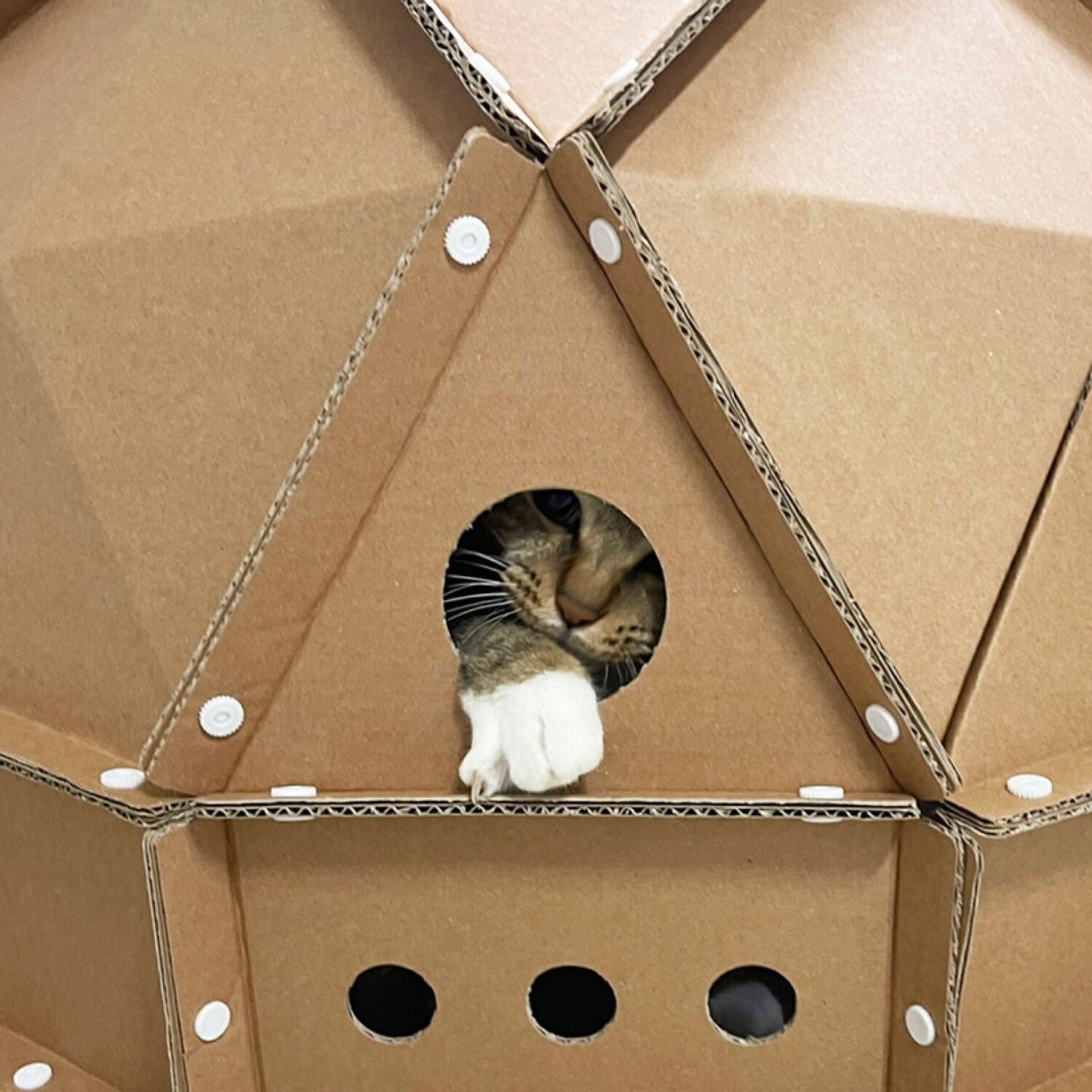 キャットスペース CAT SPACE | BOXPARTNER（ボックスパートナー）