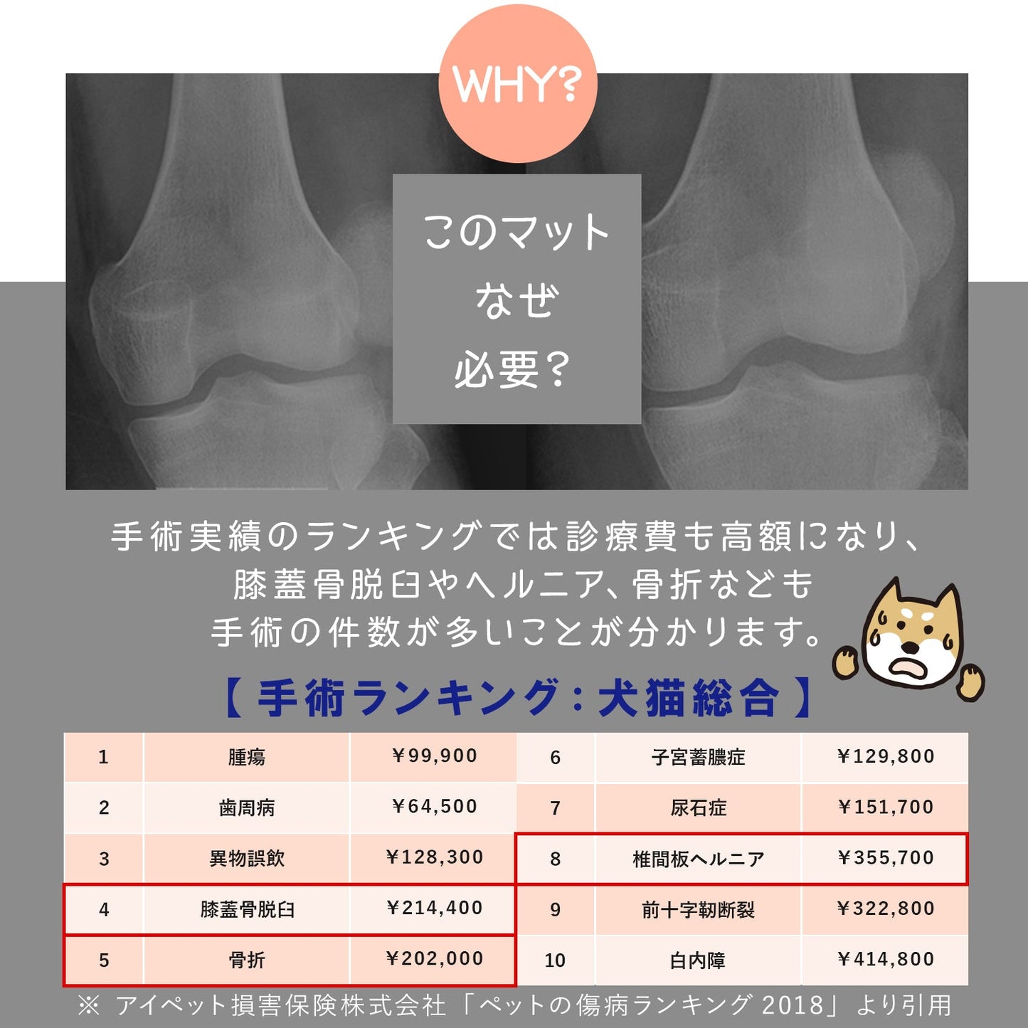 110×220 防水 抗菌 ペットマット Dogzari Flat | ecofoam（エコフォーム）