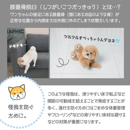 110×220 防水 抗菌 ペットマット Dogzari Flat | ecofoam（エコフォーム）