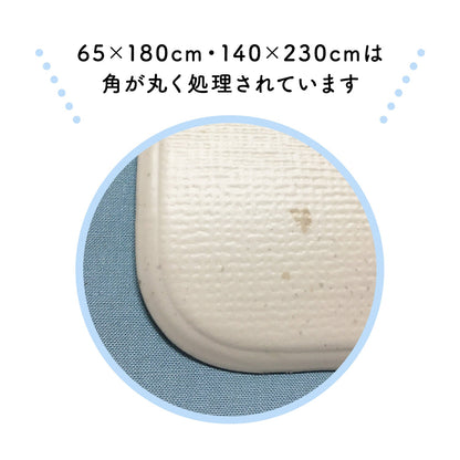【選べる4サイズ】防水 抗菌ペット マット Dogzari Flat | ecofoam（エコフォーム）