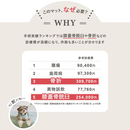 カットできる ドリドリロールマット 110×300cm | DoriDori（ドリドリ）