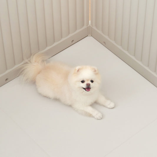 拡張できるペットルーム 専用マット【シングル 65×65×0.4cm】 EXPANDABLE PETROOM MAT | Takemehom（テイクミーホーム）