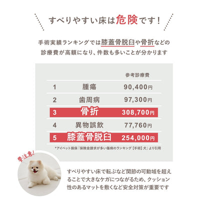 拡張できるペットルーム 専用マット【ダブル 130×65×0.4cm】 EXPANDABLE PETROOM MAT | Takemehom（テイクミーホーム）